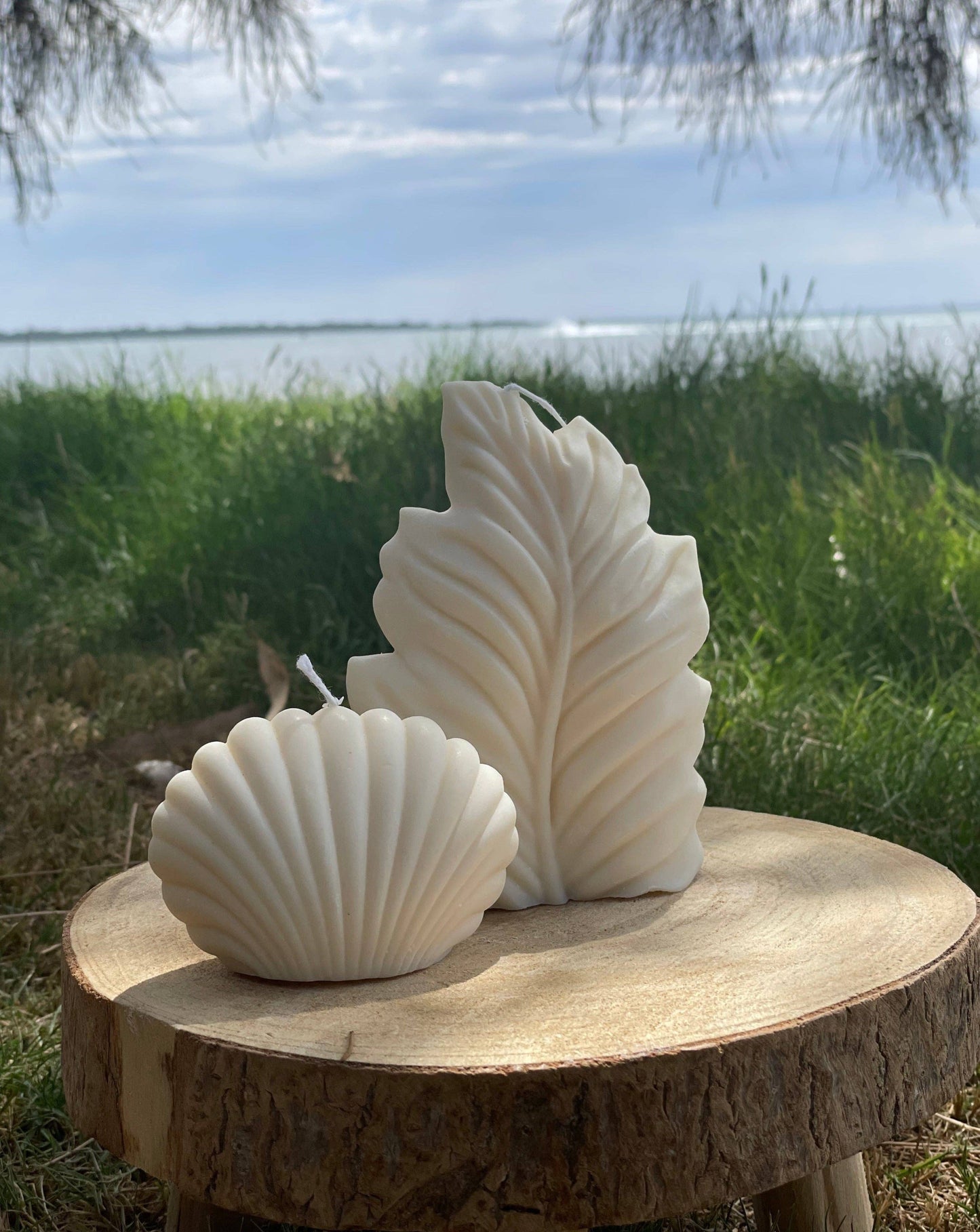 Leaf: Hunter Green - Cucumber Ginger & Mint