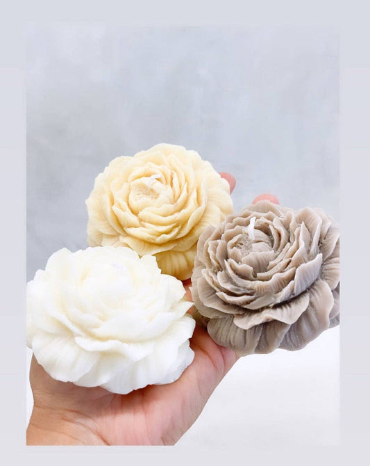 Peony flower: Mocha - Lychee & Guava