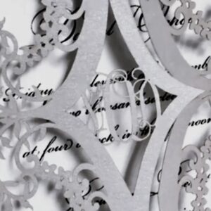 Laser Cut Lace Invitation by Bliss Imprints